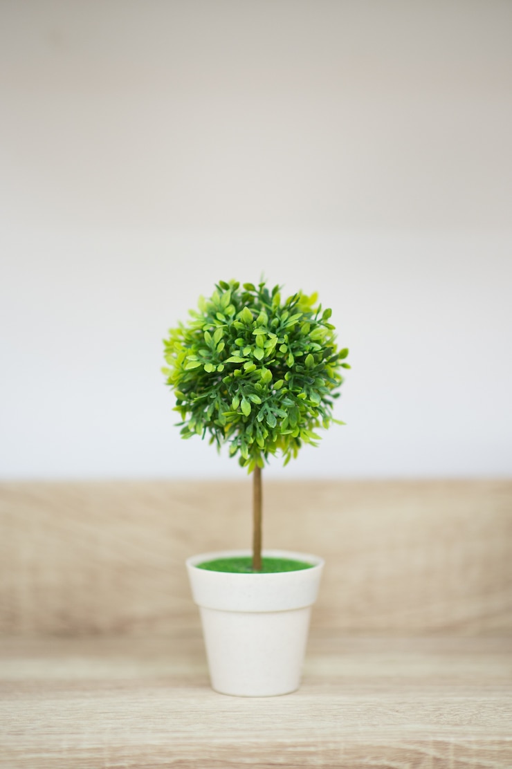 Photo arbre