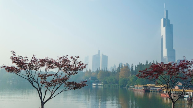 Photo des arbres au bord de l'eau contre un ciel dégagé