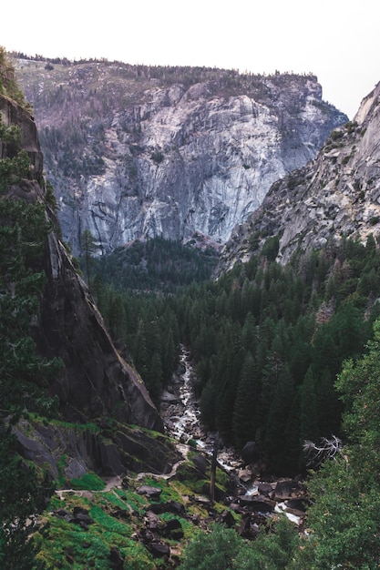 Photo des arbres au milieu des montagnes rocheuses