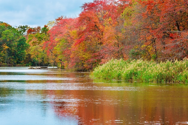 Arbres d'automne colorés sur le lac