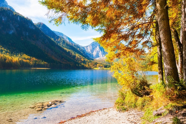 Arbres d'automne colorés sur la rive du lac Vorderer Langbathsee dans les montagnes des Alpes, en Autriche.