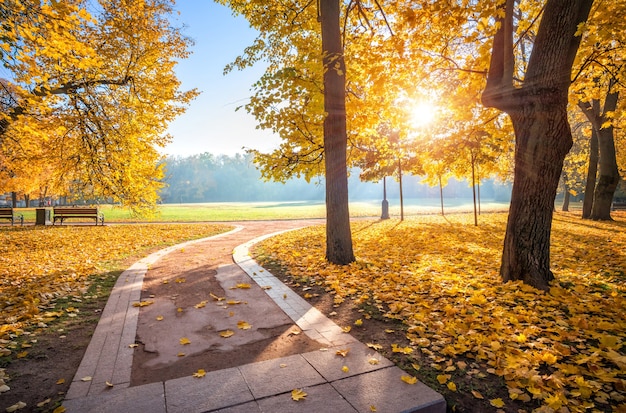 Arbres d'automne dorés du parc Tsaritsyno à Moscou et au détour de la ruelle par un matin ensoleillé