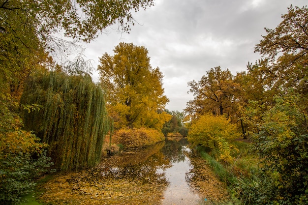 Arbres d'automne par temps nuageux dans un parc avec un lac.