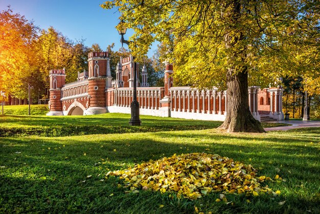 Arbres d'automne et pont figuré dans le parc Tsaritsyno à Moscou