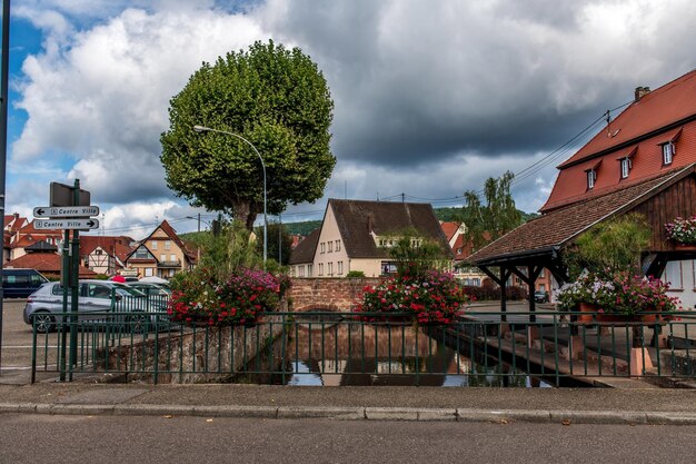 Photo des arbres et des bâtiments contre le ciel