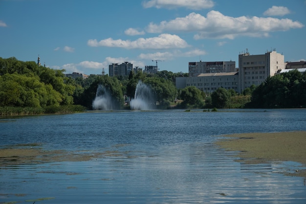 Arbres et buissons le long d'un étang ou d'une rivière Vue depuis la rive opposée de la côte de la rivière avec vue sur la ville d'Oulianovsk