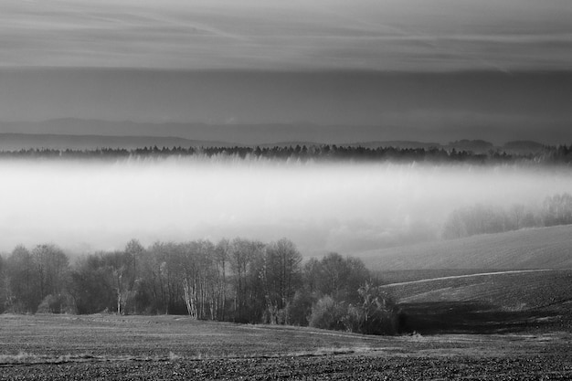 Photo des arbres sur le champ contre le ciel