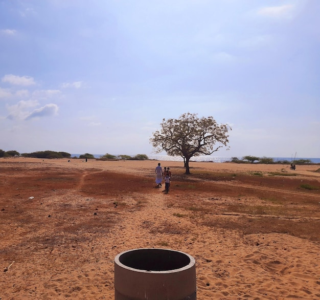 Des arbres sur le champ contre le ciel