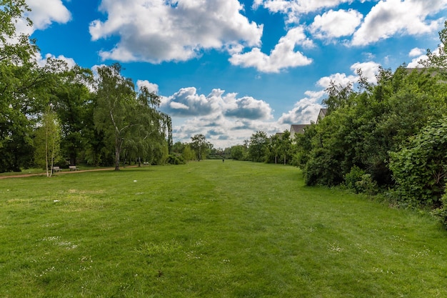 Photo des arbres sur un champ herbeux contre le ciel