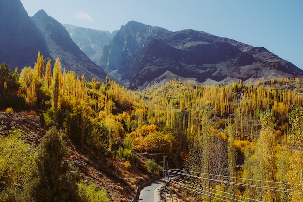 Arbres colorés en automne contre la chaîne de montagnes.