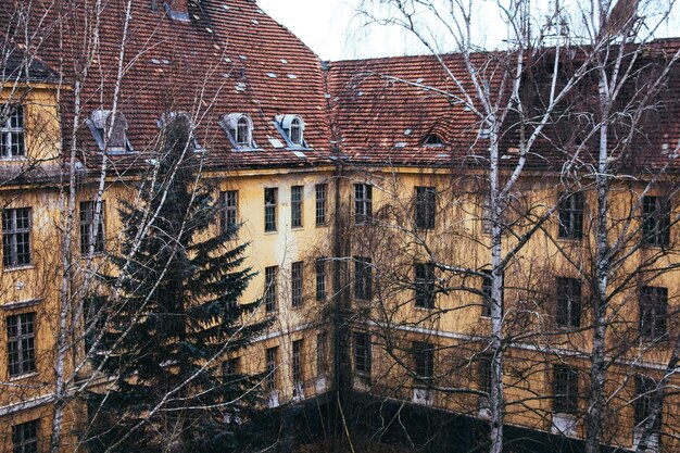 Photo des arbres contre des bâtiments