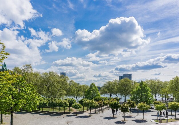 Photo des arbres contre un ciel nuageux