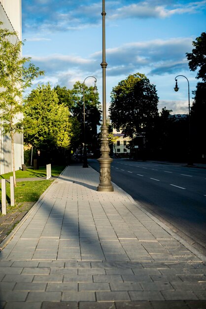 Photo des arbres contre le ciel