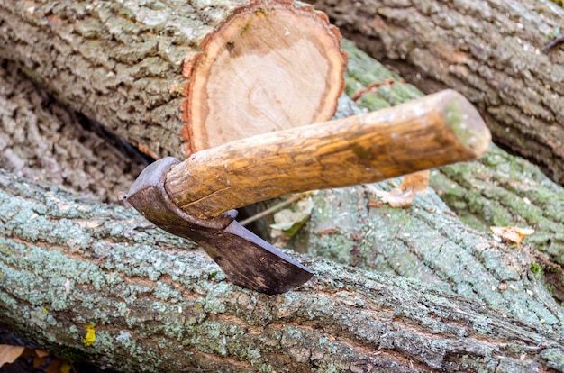 Des arbres coupés et une hache dans l'un des ponts