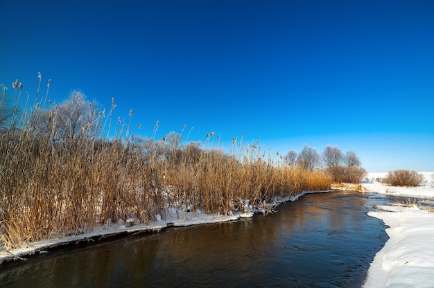 Arbres couverts de givre sur les rives d'une rivière gelée.