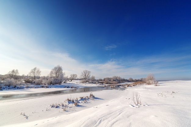 Arbres couverts de givre sur les rives d'une rivière gelée.