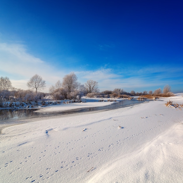 Arbres couverts de givre sur les rives d'une rivière gelée.