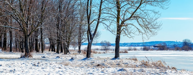 Arbres couverts de neige au bord de la rivière en hiver par temps ensoleillé, panorama hivernal