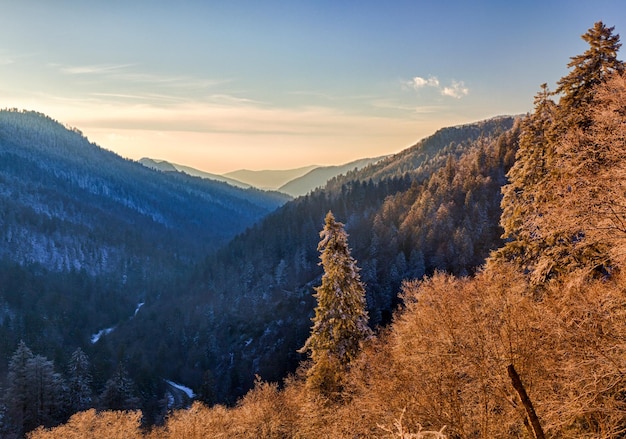Arbres couverts de neige au coucher du soleil dans les Smoky Mountains