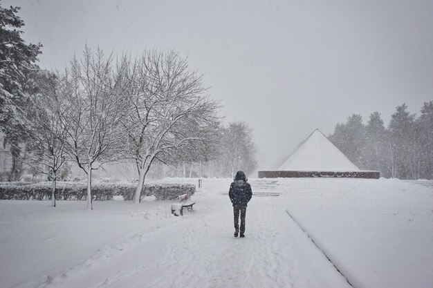 Arbres couverts de neige sur un boulevard de la ville et promener les gens en hiver