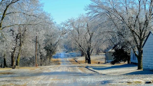 Photo des arbres couverts de neige contre le ciel