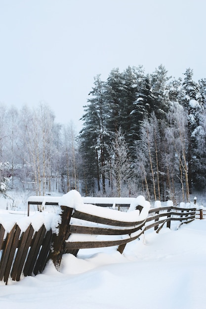 arbres dans la forêt couverte de neige au premier plan clôture penchée