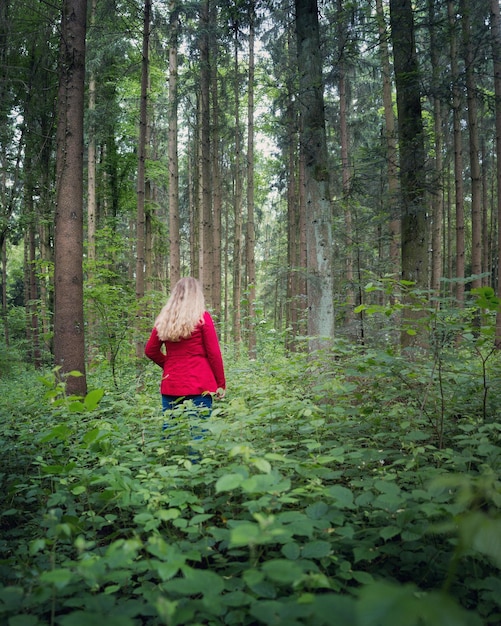 Les arbres dans la forêt