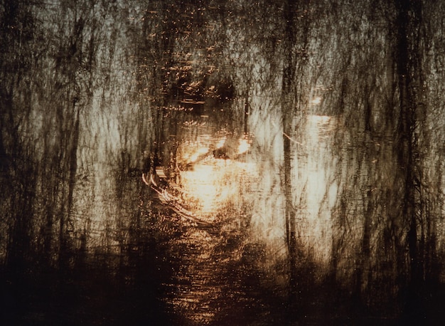 Photo les arbres dans la forêt