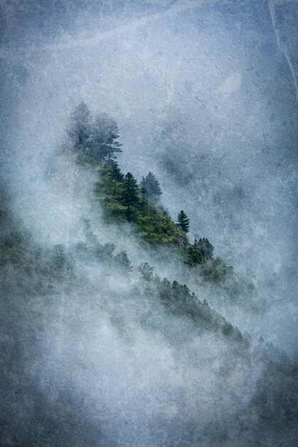 Arbres dans les nuages