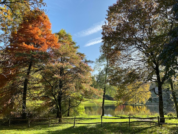 Des arbres dans le parc contre le ciel en automne