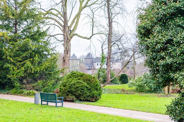 Des arbres dans le parc près des maisons contre le ciel.