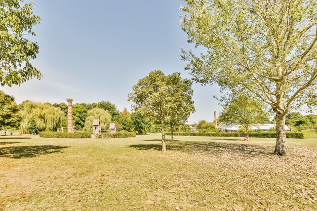 Photo des arbres dans le parc