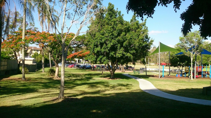 Photo des arbres dans le parc
