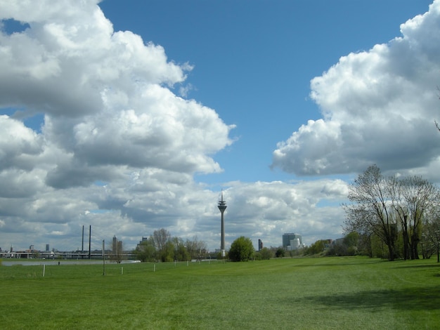 Des arbres dans un paysage rural contre les nuages