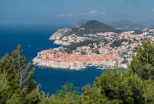 Des arbres encadrent une vue aérienne de la vieille ville de Dubrovnik et des remparts de la ville en Croatie