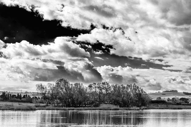 Arbres sur l'étang sous un ciel dramatique