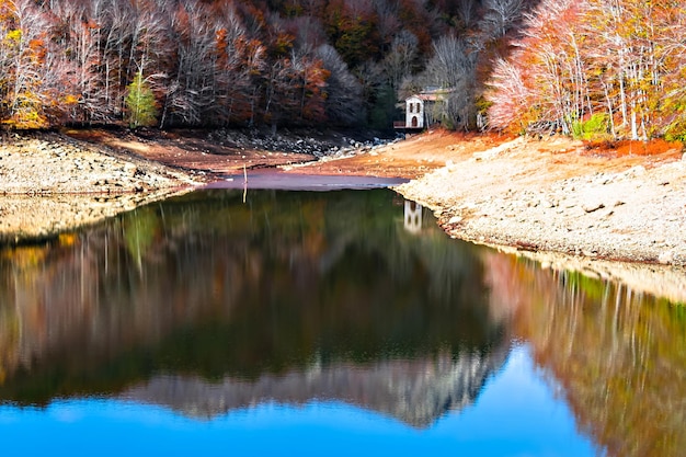 Arbres et feuilles colorés en automne dans le parc naturel du Montseny à Barcelone, Espagne.