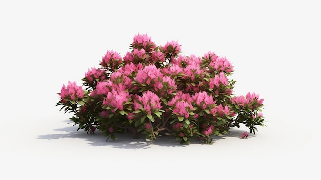 Photo des arbres en fleurs en été