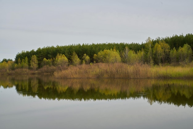 Photo arbres sur le fond du lac par temps nuageux