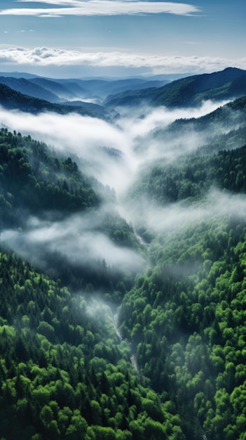 Les arbres forestiers brument le pays des fées comme Generative AI