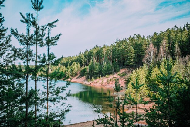 Arbres de la forêt entourant le lac