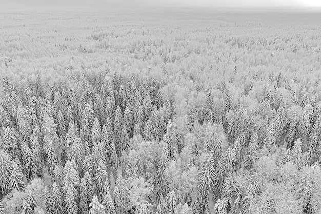 arbres forêt gel vue de dessus arrière-plan, drone abstrait voir nature épinette d'hiver saisonnier