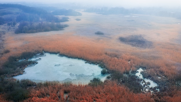 Des arbres jaunes poussent le long du rivage. Derrière eux se trouvent des jardins vides avec la récolte. Fin de l'automne.