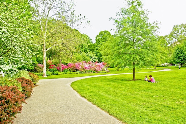 Des arbres le long d'un sentier dans le parc