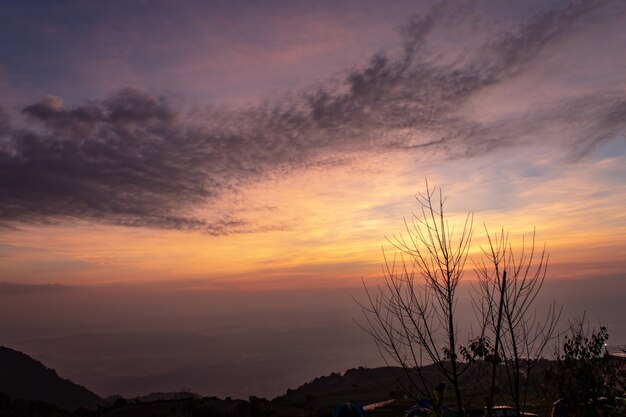 Les arbres sur la montagne et le soleil du matin.