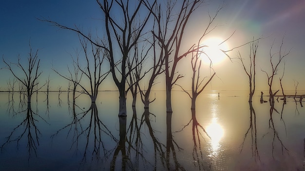 Arbres de la mort dans le lac avec silhouette coucher de soleil