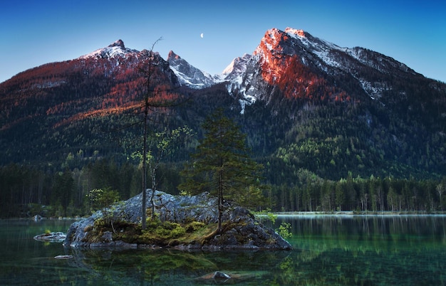 Des arbres mouillés par l'eau contre le ciel