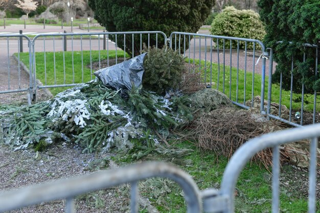 Arbres de Noël d'occasion derrière la clôture en France