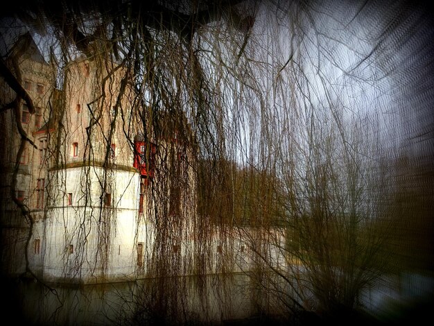 Des arbres nus au bord de la rivière contre le bâtiment