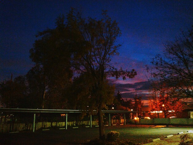 Photo des arbres nus sur le champ contre le ciel